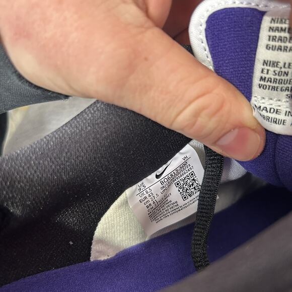 Nike SB Dunk Low Pro “Court Purple”